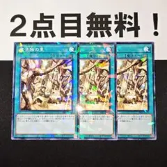12511 遊戯王 魔法族の里 ノーパラ 2点目無料 SSB1