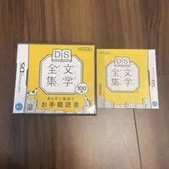 DS文学全集