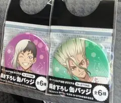 Dr.STONE ローソン100 コラボ　缶バッジ2点　石神千空　あさぎりゲン
