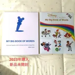 DWE 2023年購入 新品未開封