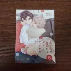 えっちなお尻じゃダメですか？ 5 リーフレット