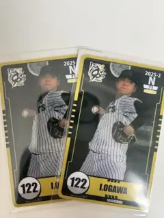 Item thumbnail for item 1d6257bb-6e25-41bb-8de6-cb37d5b9516f