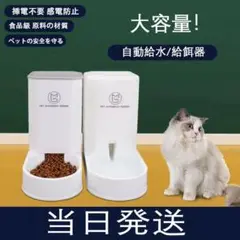猫自動給餌器給水器猫餌鉢水鉢猫に餌をやる