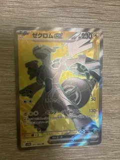ゼクロムex SR