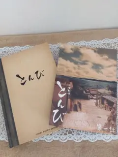 桜井様 専用とんびDVD-BOX7枚組 内野聖陽 佐藤健 第一話台本付き