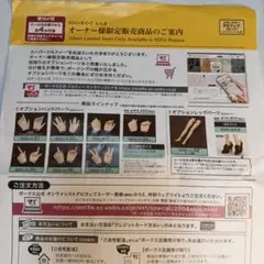 SDGr女の子オ-ナ−様限定販売商品