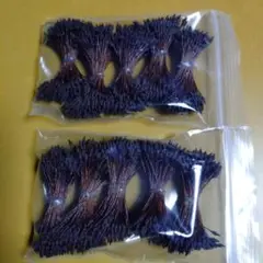 Item thumbnail for item 39f3c424-82ad-4d0a-b13a-8b49c2d15456