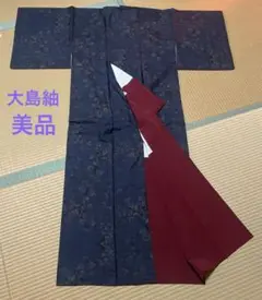 美品 大島紬 南天柄 訪問着