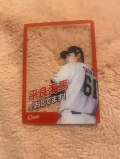 Item thumbnail for item 3c11e22f-2cff-435b-9ebf-4588c91dae47