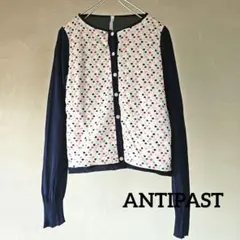ANTIPAST アンティパスト カーディガン　レディース　柄もの