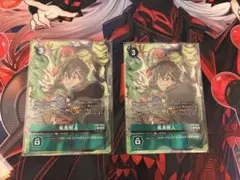 風真照人　パラレル2枚セット