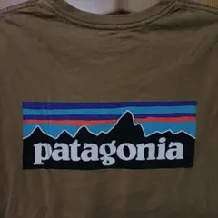 patagonia オリーブグリーン Tシャツ