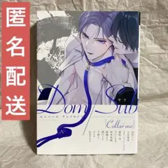 BL漫画　ドムサブユニバース　山田ノノノ