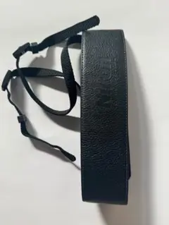 Item thumbnail for item 4c295669-2b96-4c5c-b34c-855f9f19c306