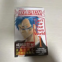 BLEACH Can't Fear Your Own World 1