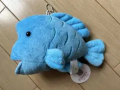 あるまど ナポレオンフィッシュぬいぐるみ キーホルダー