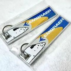 エンブラエル E-JET 機首柄 刺繍 フライトタグ 2本セット JAL FDA
