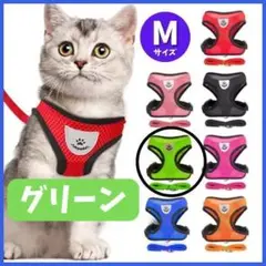Item thumbnail for item ce6f787a-faf2-499d-a400-4d3c20a3c5af