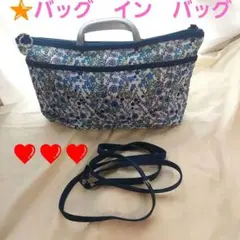 ポーチ　イン　バッグ
