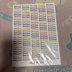 SexyZone サマリー　SUMMARY 2012 パンフレット