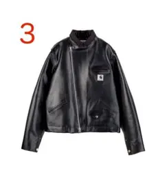 Item thumbnail for item 21f39dae-e08f-4d55-8a30-563c53035f52