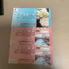 スパリゾートハワイアンズ入場券2枚
