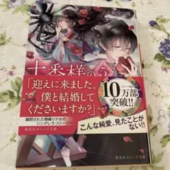 十番様の縁結び 5 神在花嫁綺譚