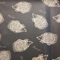 LISA LARSONラミネート生地　ラベル有