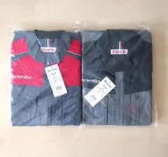 Item thumbnail for item 48a5bccc-048c-447c-bc1d-95517b9a20c1
