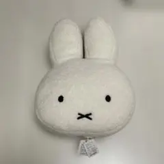 Item thumbnail for item 6358f8a8-edb6-4e05-bac6-a0ce340e1a61