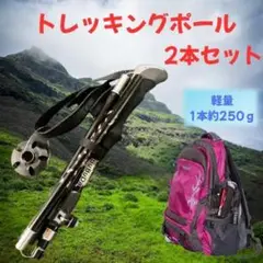 Item thumbnail for item d8c74120-546f-4163-bcf0-fde2d0915371