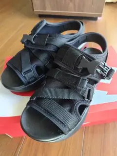 Nike エアマックス　ソル スポーツサンダル FN4290-010　22cm