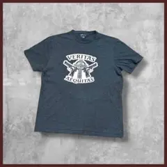 US古着 amazon アマゾン プリント Tシャツ 半袖 グレー Lサイズ