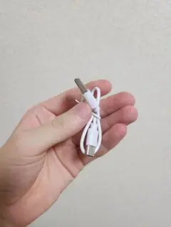 ホワイト USB Type-C 充電ケーブル 約20cm