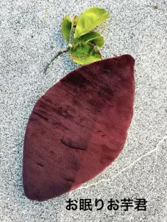 Item thumbnail for item 69b25f6a-68ae-439e-bd59-11ff3e1e5b49