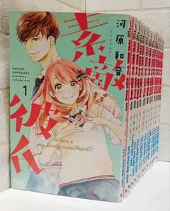 【匿名配送】素敵な彼氏 1～14巻《全巻》