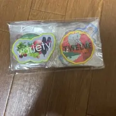 Mrs. GREEN APPLE ワッペン