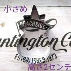 パイナップル（小さめ＆高さ2センチ）クッキー型　ハワイ　南国