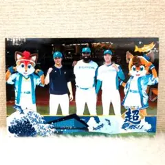 北海道日本ハムファイターズ　ハイライトフォト　ヒーロー　2025/08/23