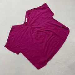 earth music&ecology Tシャツ Vネック 半袖 ピンク F