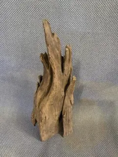 Item thumbnail for item 833e6a89-8a2a-4a75-958b-f7192a1e54b2