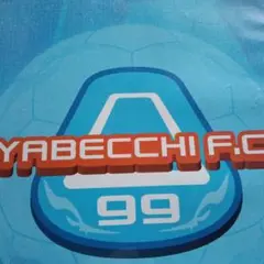 ヤベッチFC3DVD