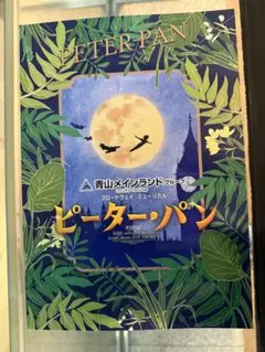 ミュージカル　ピーターパン　パンフレット