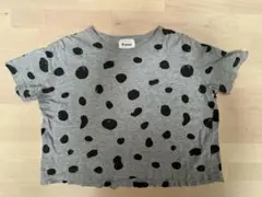 【セスタヴォカーレ】水玉模様 Tシャツ サイズ100 日本製