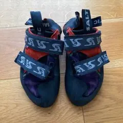 サルティック ファルコ EUR37 UK4 US5
