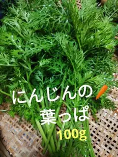 Item thumbnail for item b7252ac8-64d9-4940-b5fe-c845f62cb080