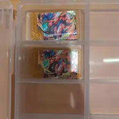 ポケモンフレンダ レガシーピック コライドン2枚セット