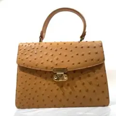 Senza Serioso オーストリッチ ハンドバッグ【極美品】