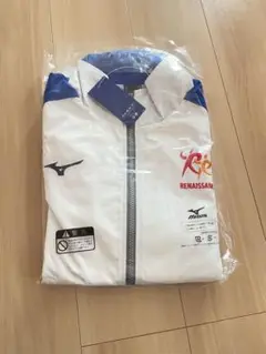 Item thumbnail for item 4f5fd932-349a-41d4-a664-1c9936c505ea