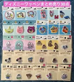 ディズニーキャラクター ディズニーピクサー ミッキーワッペン30点セット
